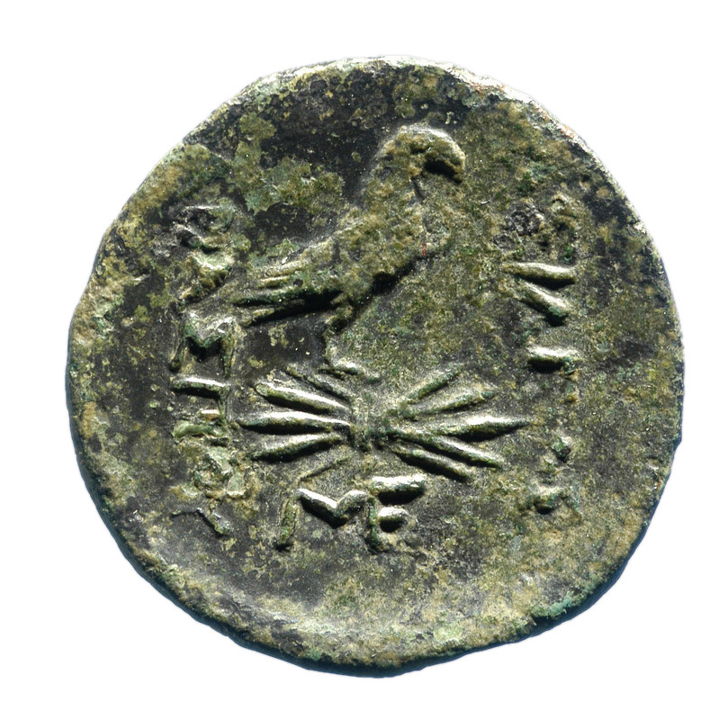 coin rev