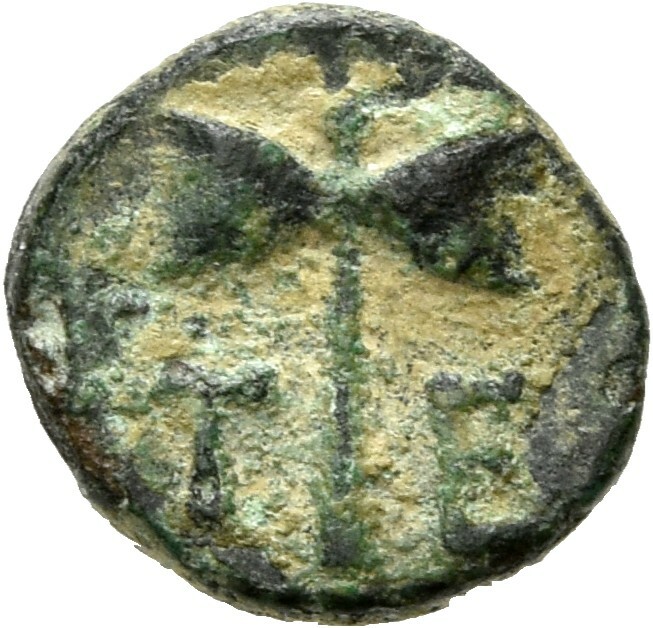 CN Type 19408, реверс, cn-coins
