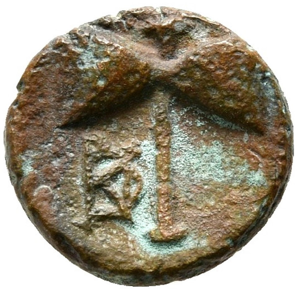 CN Type 19422, реверс, cn-coins