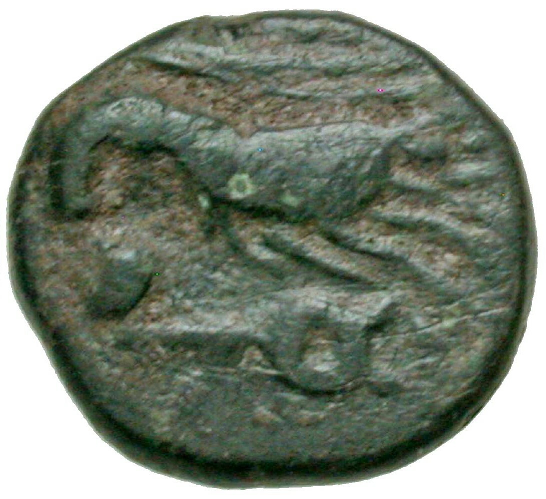 CN Type 19715, реверс, cn-coins