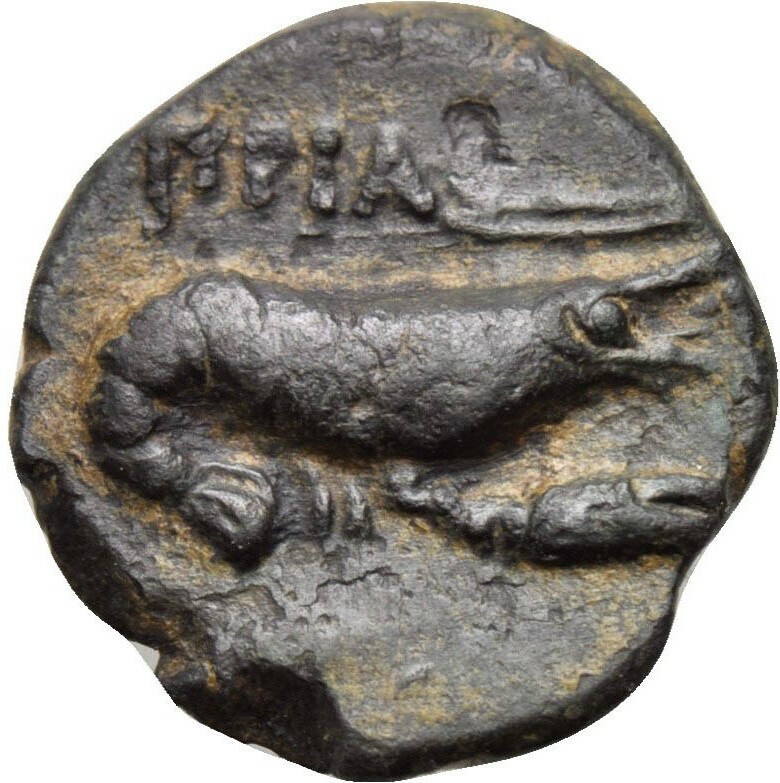 реверс CN Type 19716