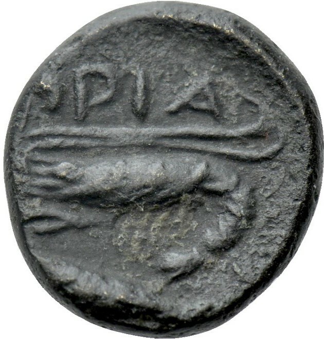 реверс CN Type 19719