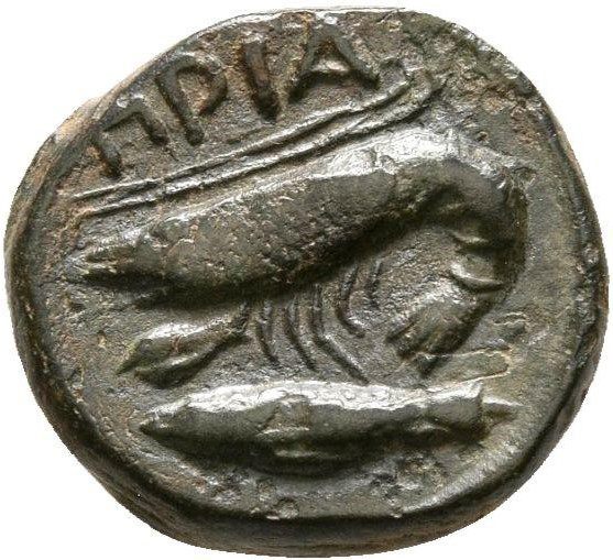 CN Type 19719, реверс, cn-coins
