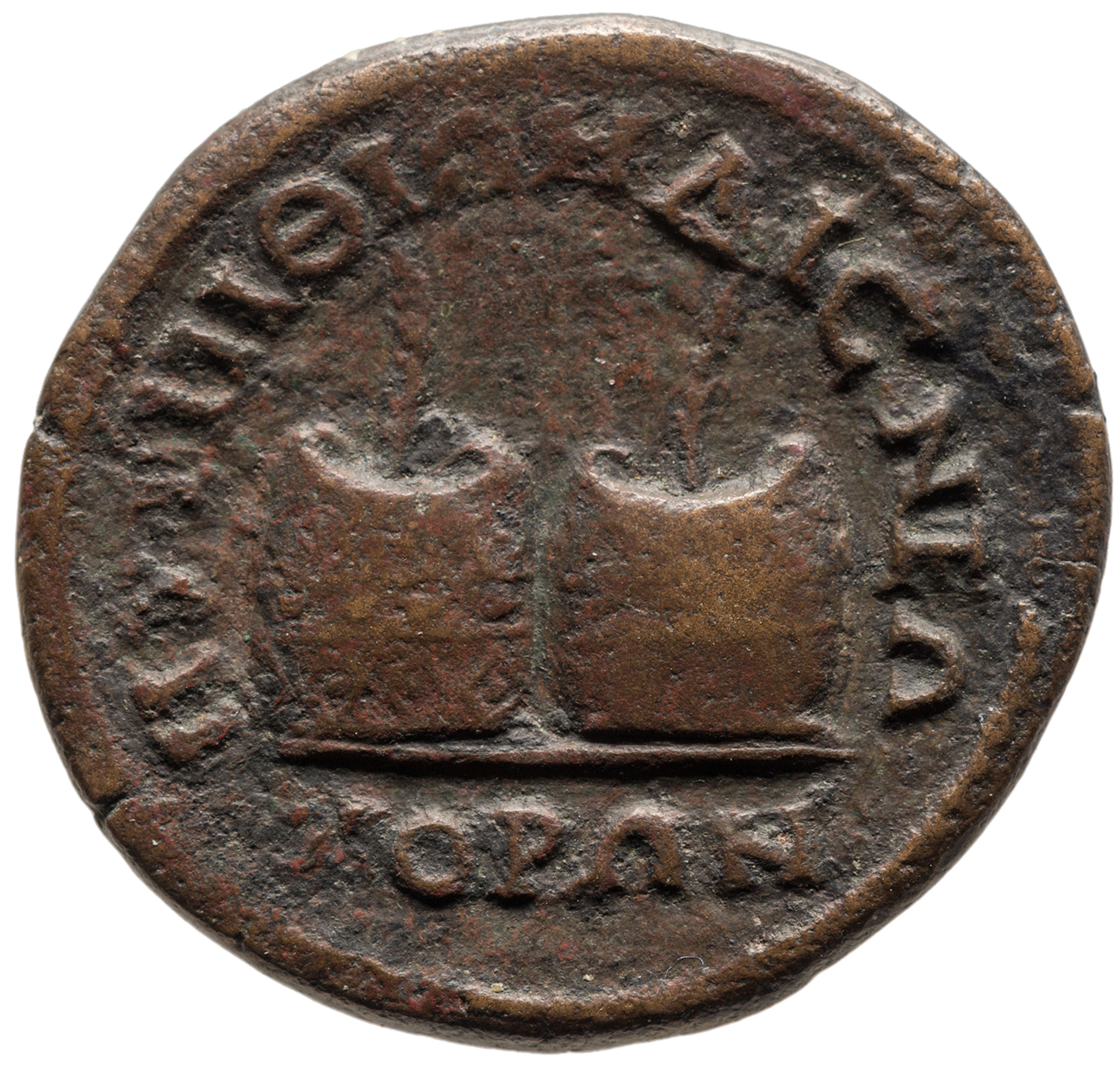 reverse CN Type cn.perinthus.1_ed.571