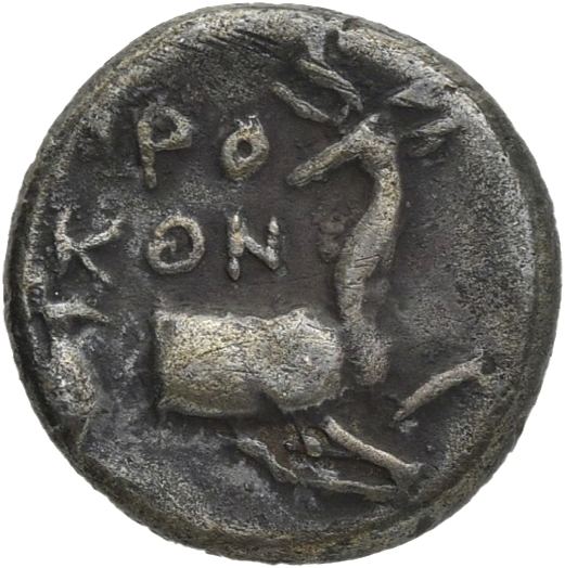 CN Type 20516, реверс, cn-coins