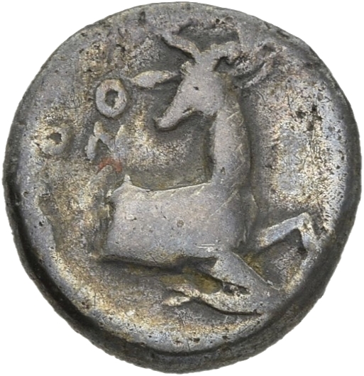 CN Type 20516, реверс, cn-coins