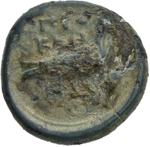 CN Type 20528, реверс, cn-coins