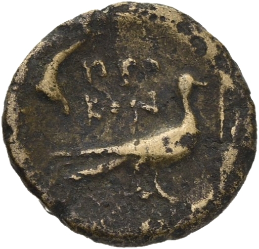 CN Type 20528, реверс, cn-coins