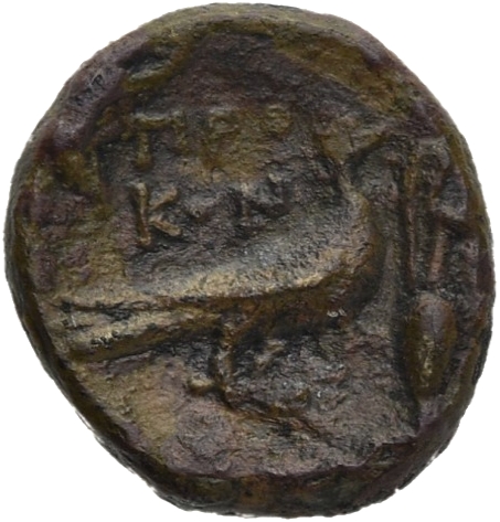 CN Type 20528, реверс, cn-coins