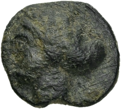 CN Type 20509, аверс, cn-coins
