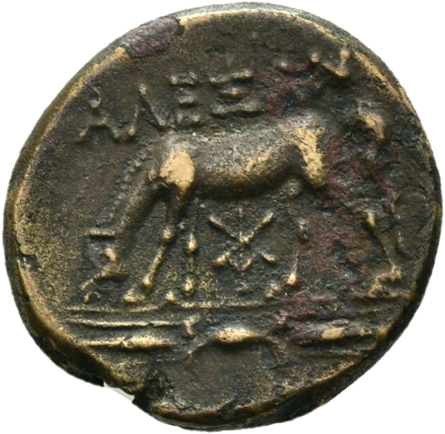 CN Type 12913, реверс, cn-coins