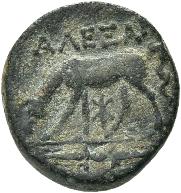 CN Type 12913, реверс, cn-coins
