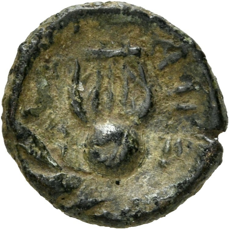 coin rev