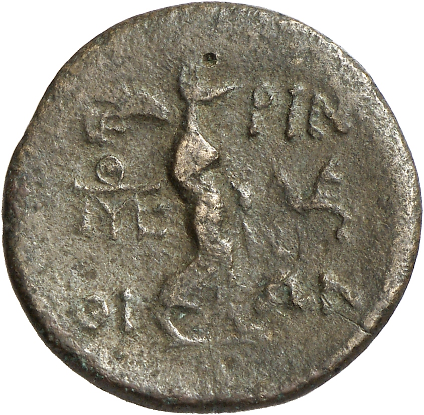 reverse CN Type cn.perinthus.1_ed.25