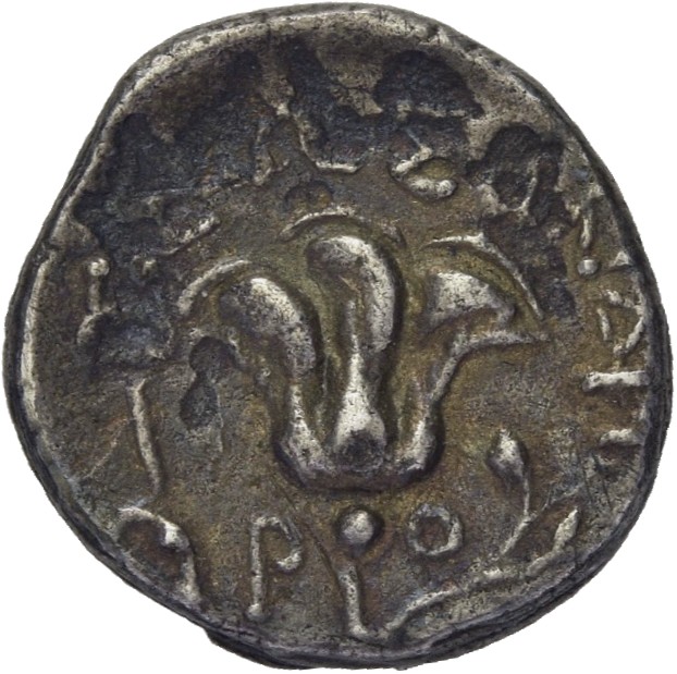 реверс CN Type cn.samothrace.1_ed.28
