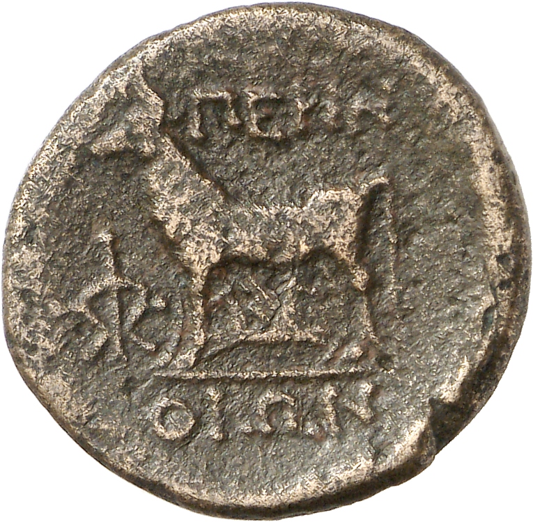 reverse CN Type cn.perinthus.1_ed.32