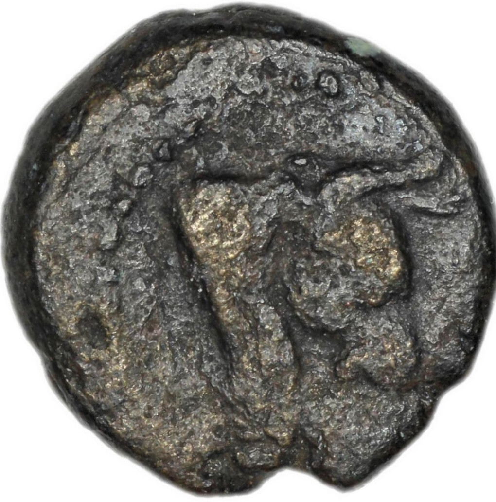 coin obv
