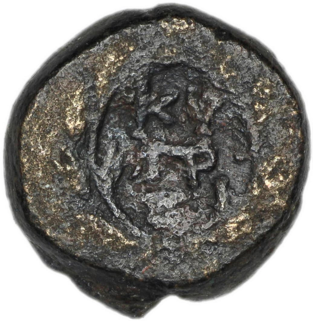 coin rev