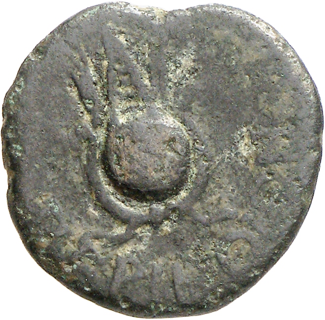 reverse CN Type cn.perinthus.1_ed.50