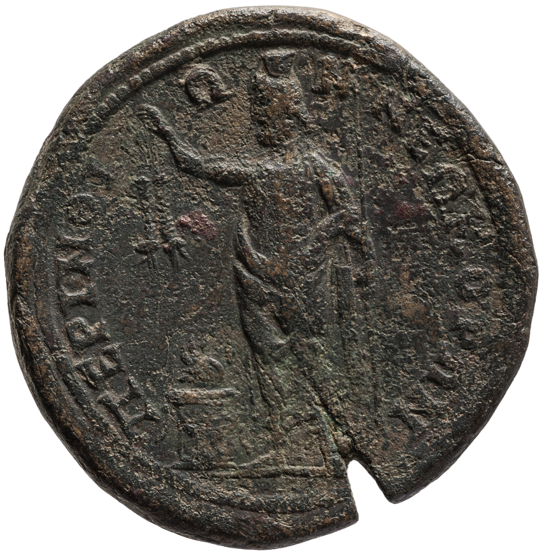 reverse CN Type cn.perinthus.1_ed.296