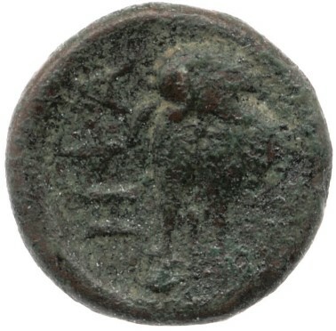 reverse CN Type cn.hephaestia.1_ed.14