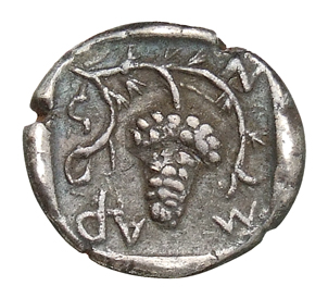 reverse CN Type cn.maroneia.1_ed.94
