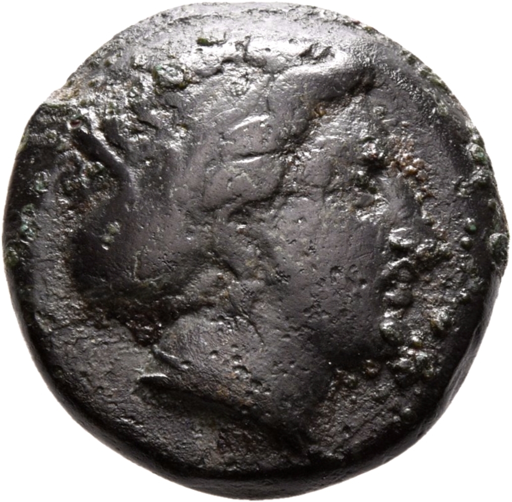 CN Type 19934, cn-coins