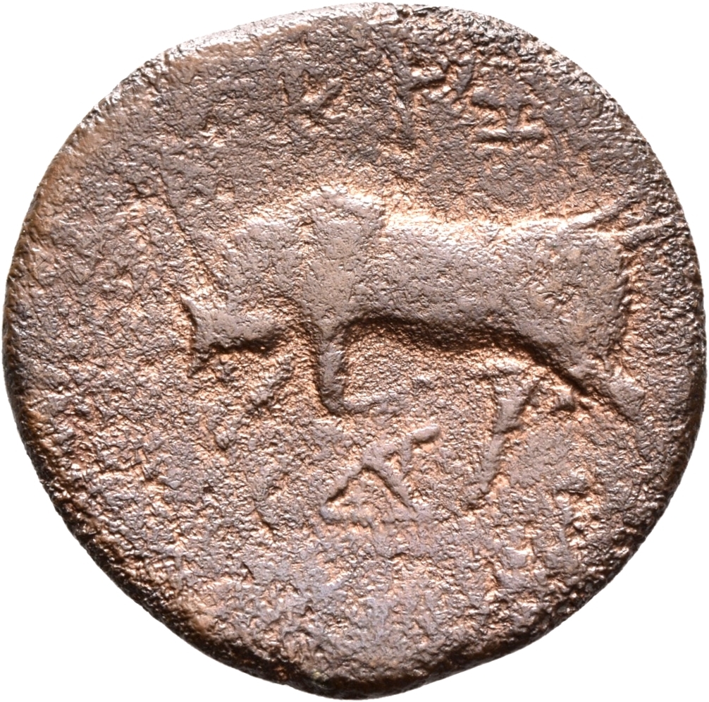 coin rev