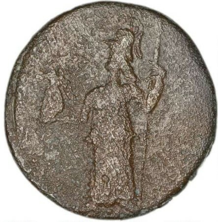реверс CN Type cn.hephaestia.1_ed.42