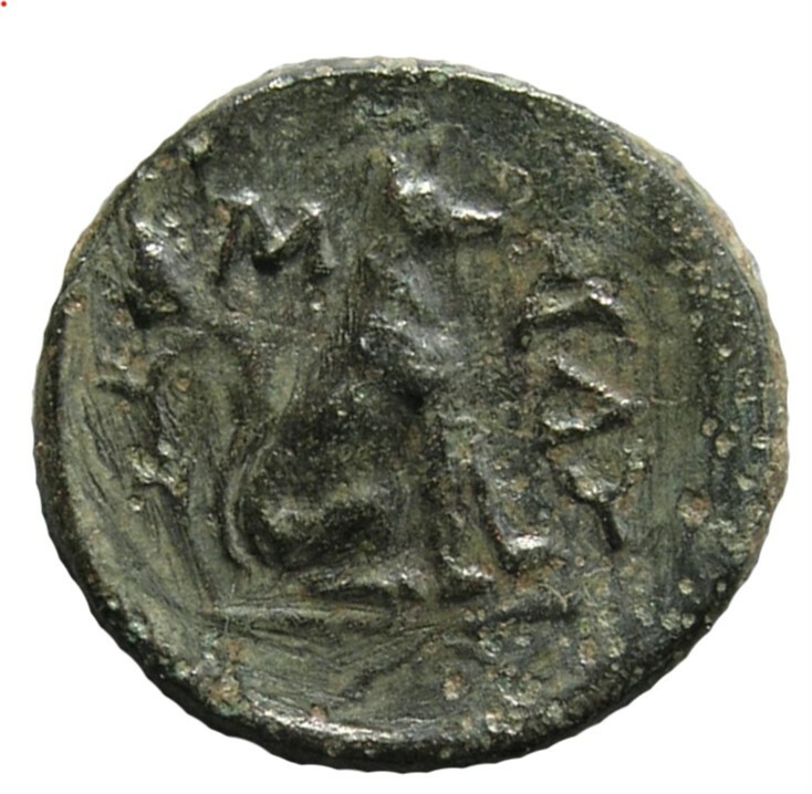 реверс CN Type cn.madytus.1_ed.8