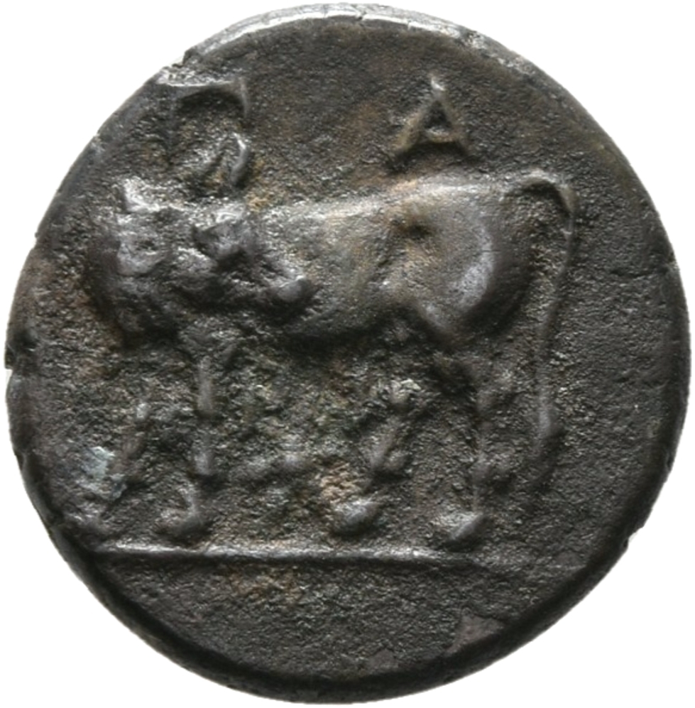 CN Type 20011, аверс, cn-coins