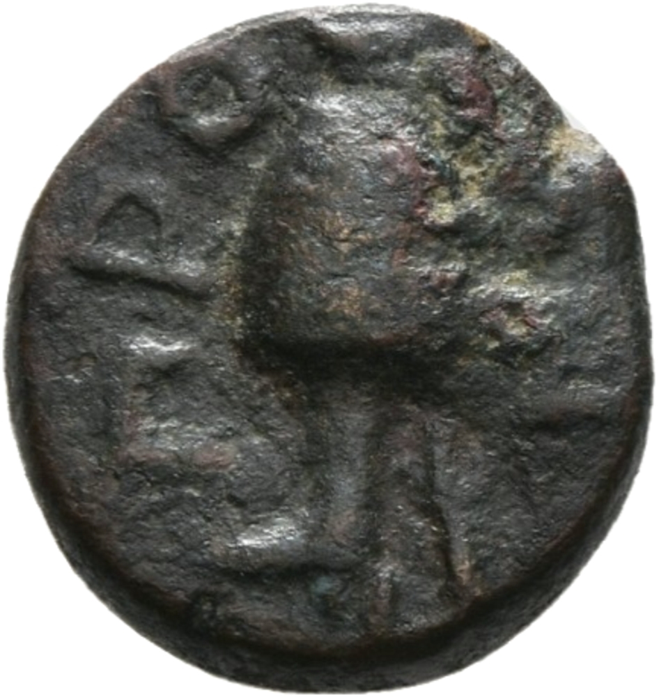 CN Type 12927, реверс, cn-coins