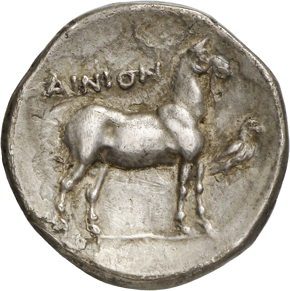 coin rev