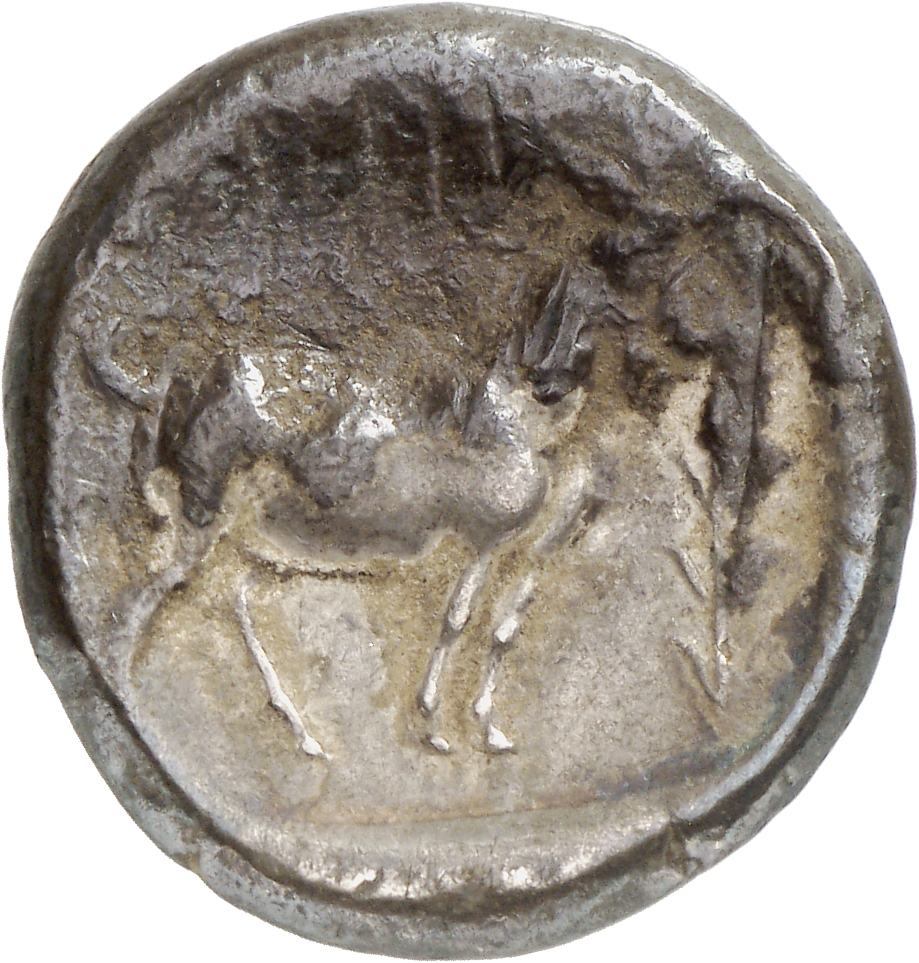 coin rev