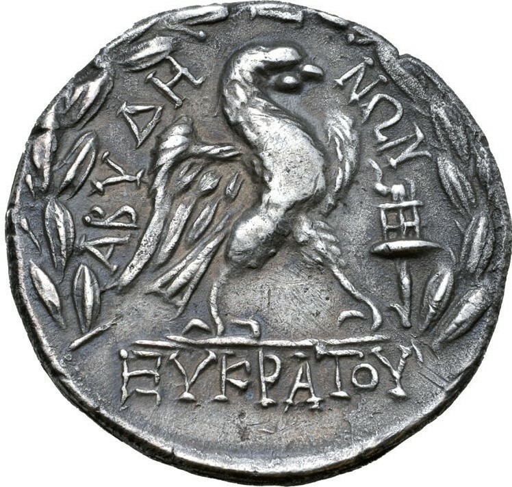 coin rev