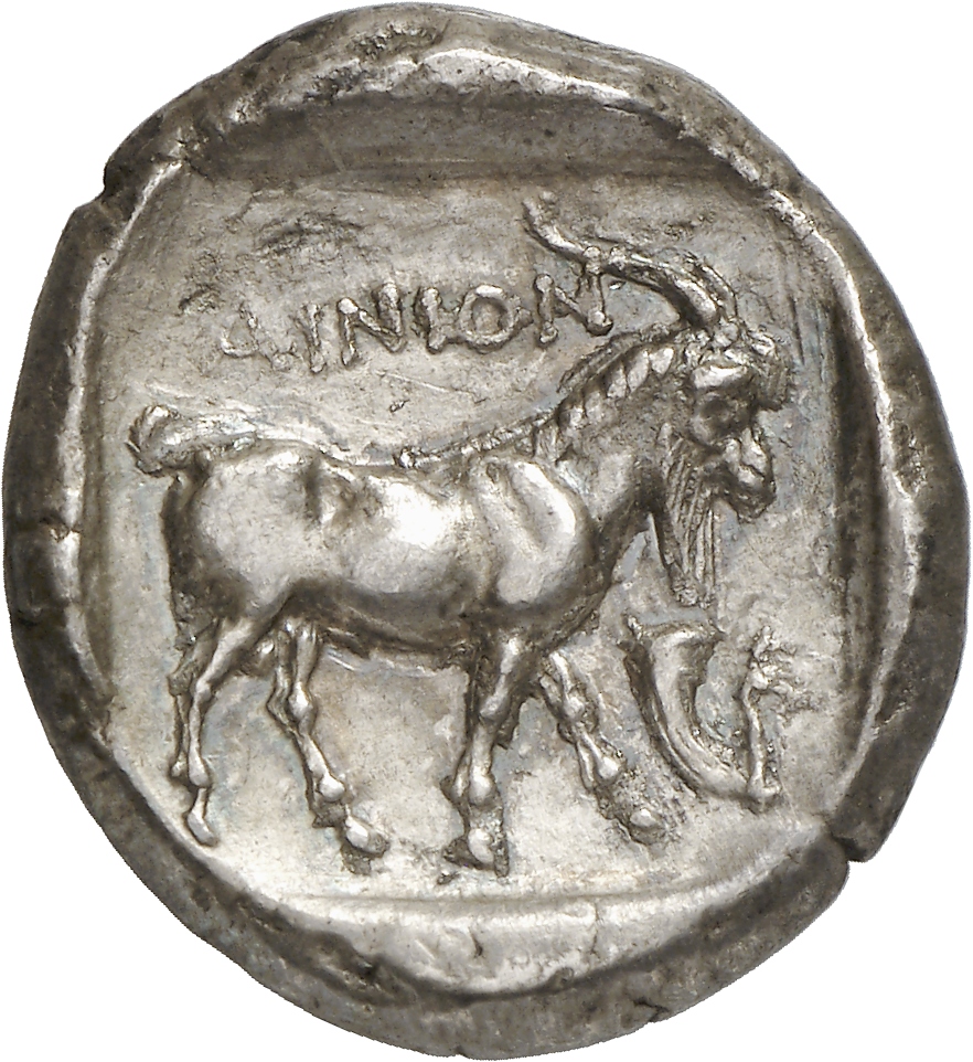 coin rev
