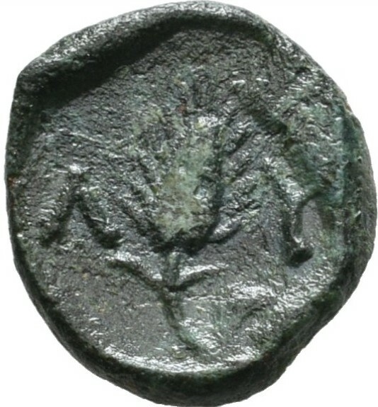 CN Type 12091, reverse, cn-coins