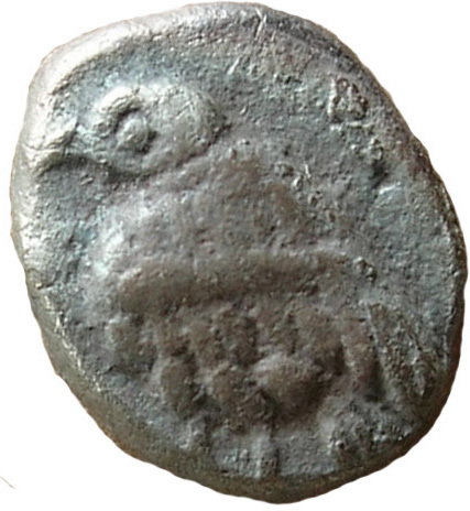CN Type 7938, аверс, cn-coins