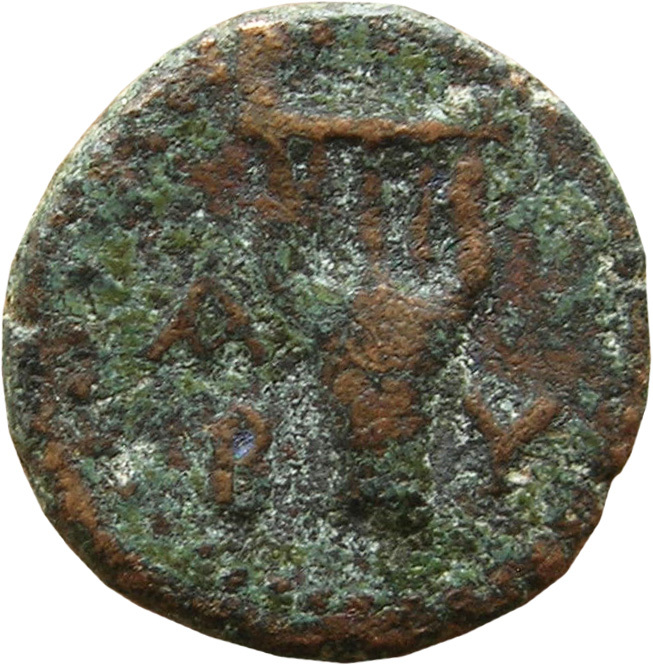 coin rev