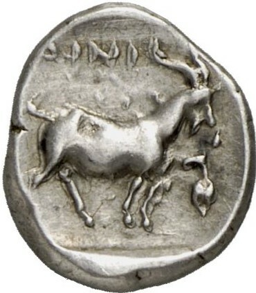 coin rev