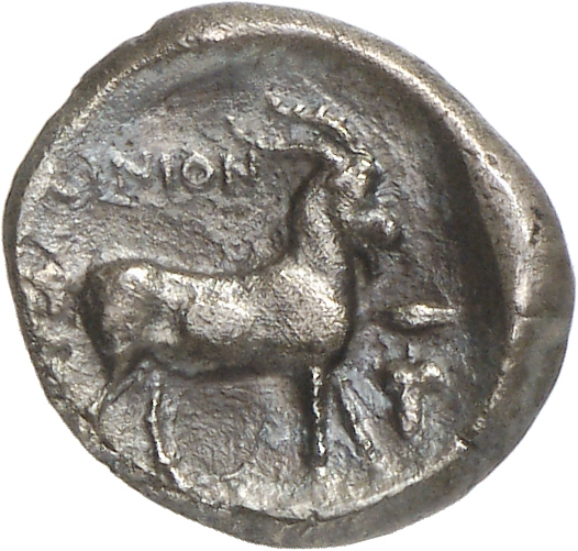 coin rev