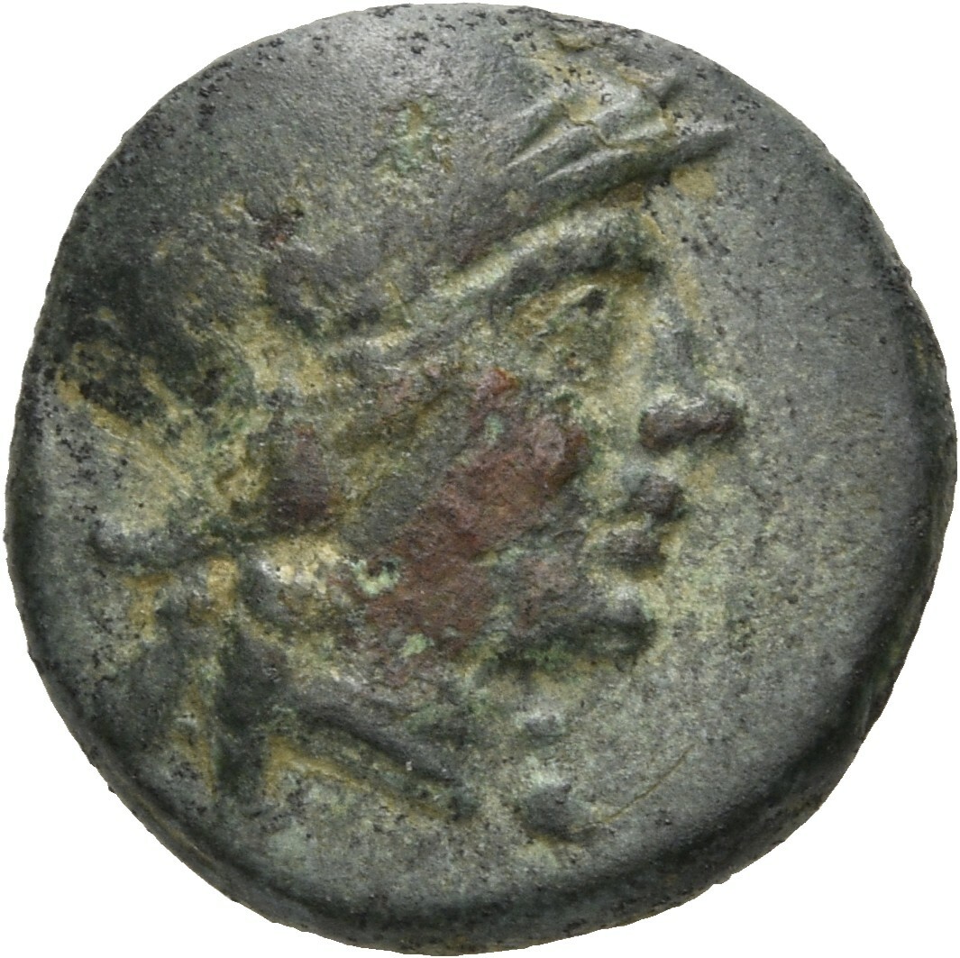 CN Type 20490, аверс, cn-coins