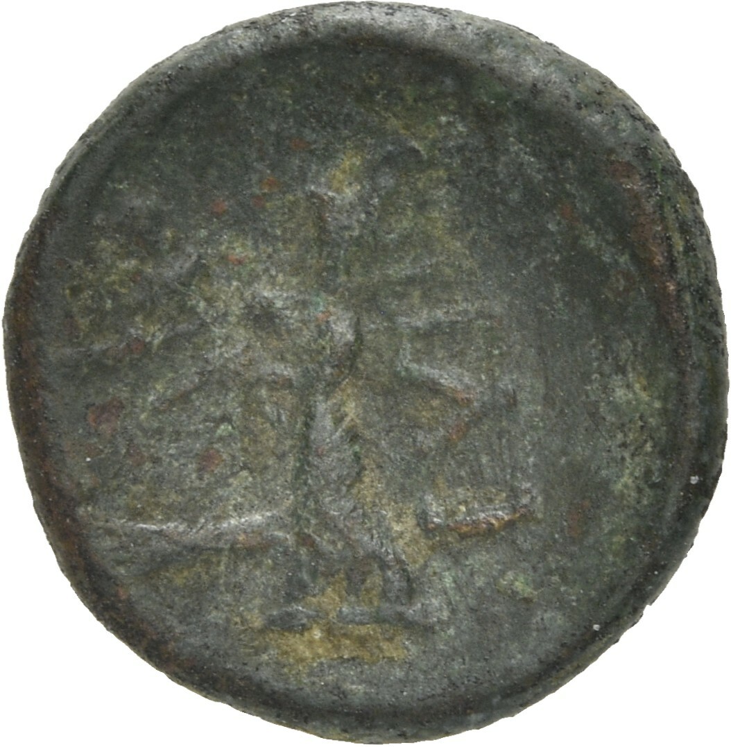 CN Type 20490, реверс, cn-coins