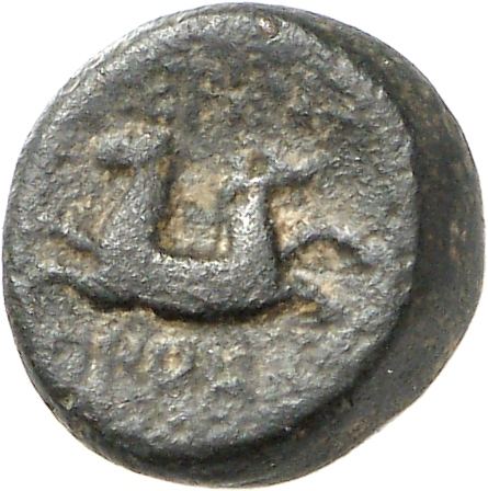 реверс CN Type cn.perinthus.1_ed.11