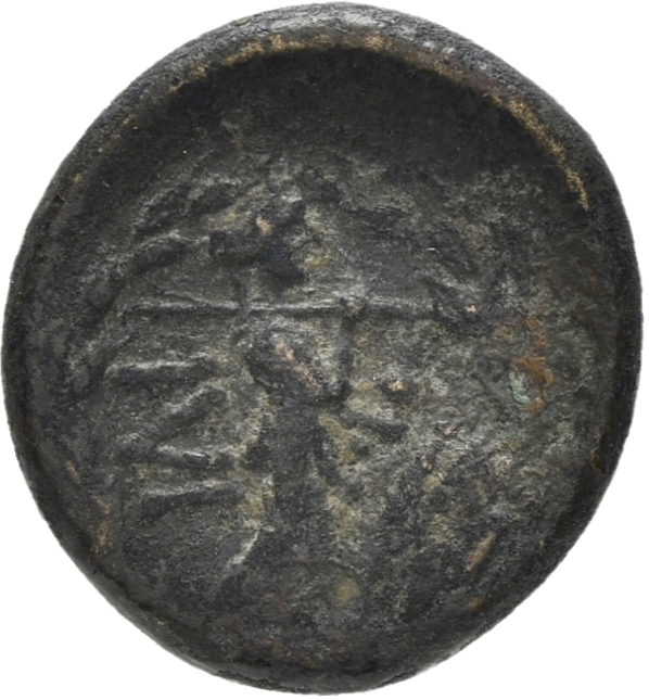 CN Type 20467, реверс, cn-coins