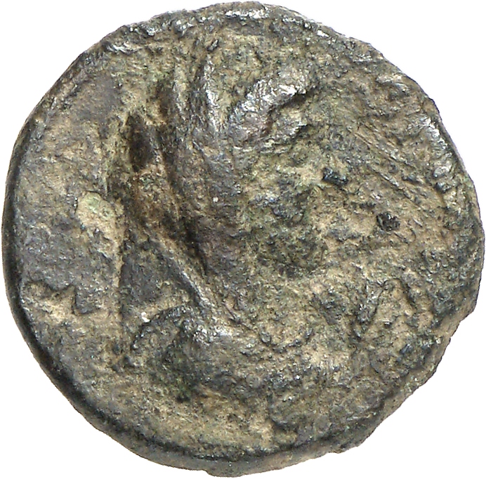CN Type cn.perinthus.1_ed.70, аверс, cn-coins