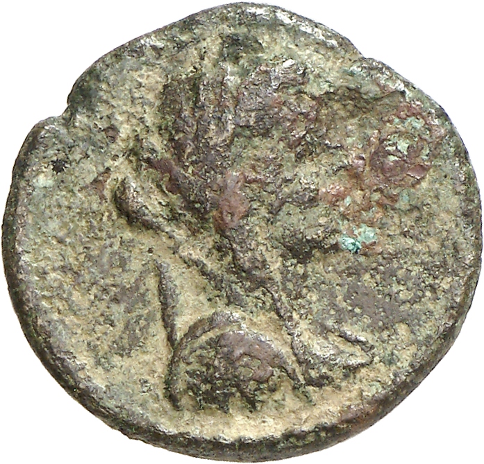 CN Type cn.perinthus.1_ed.71, аверс, cn-coins
