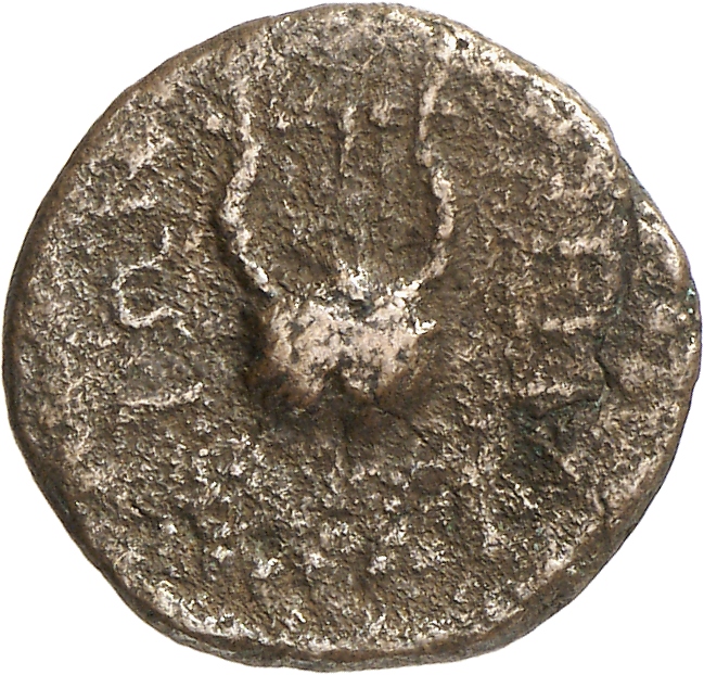 CN Type cn.perinthus.1_ed.58, реверс, cn-coins