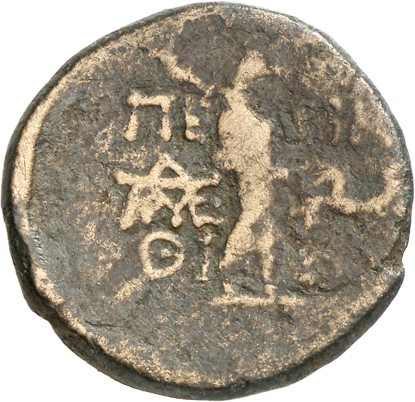 reverse CN Type cn.perinthus.1_ed.23