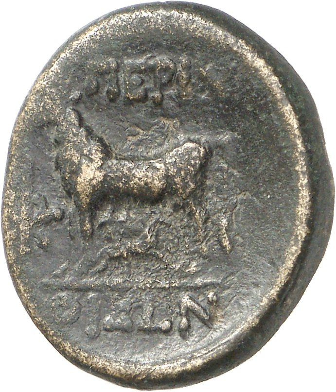 CN Type cn.perinthus.1_ed.32, реверс, cn-coins